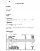 INFORME PSICOPEDAGÓGICO