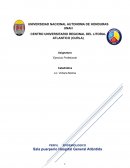 Perfil Epidemiológico