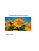 Actividad de didáctica: ciencias de la naturaleza