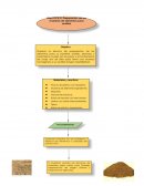 Preparación de las muestras de alimentos para análisis