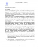 ANALISIS DE LA HISTORIA Y LA EVOLUCIÓN SOCIAL