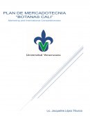 PLAN DE MERCADOTECNIA