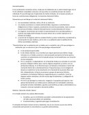 Cuadro Comparativo Administracion Privada y Publica
