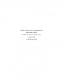 Gestión de la prevención de riesgos laborales