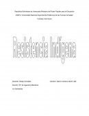 Resistencia Indígena