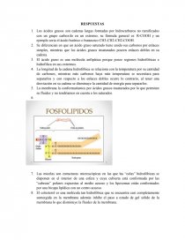 TALLER LIPIDOS. Página 1