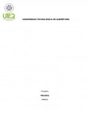 Desarrollo de nuevos productos Danonino