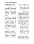 Ex guerrileros de las FARC alegan incumplimiento del proceso de paz