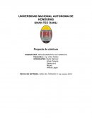 Proyecto de cárnicos