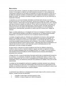 Marco teórico abejas