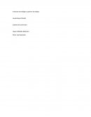 Modeló de unidades. Antecedentes del envase y embalaje