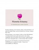 Crear empresa. Florería Erianny