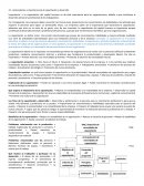 Antecedentes e importancia de la capacitación y desarrollo