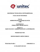 Ensayo 2 - Base de Datos y Administración de la Información