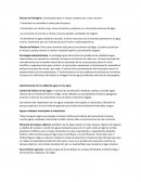 Contaminación de las aguas. Efectos del nitrógeno