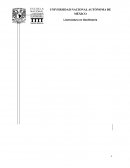 Tus talentos y habilidades irán mejorando con el tiempo, pero para eso has de empezar