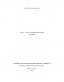 Actividad pedagogica. Solución como futura docente