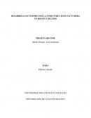 DESARROLLO ECONOMICO DE LA INSDUSTRIA MANUFACTURERA EN BOGOTÁ 2012-2018