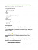 CONCEPTOS Y ESTRUCTURA DE LOS CANALES DE DISTRIBUCION