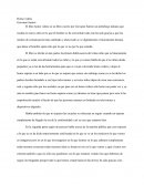 Homo videns Giovanni Sartori