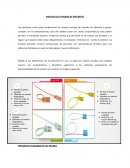 ANALISIS DE LA PRUEBA DE PRECINTOS
