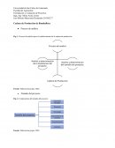 Cadena de Producción de Bambuflora