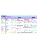 DISEÑO CURRICULAR DE TRANSICIÓN