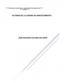 Cadena de abastecimiento Logística & Carga S.A.S.