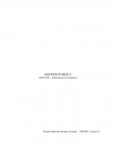 Ensayo Gestion Publica