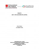 USO Y APLICACIONES DE LAS RNA