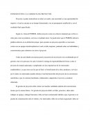 INTRODUCCIÓN A LA GERENCIA DE PROYECTOS