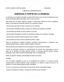 ENERGIAS A PARTIR DE LA BIOMASA