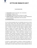 Tema generador: Seamos luz del mundo + Perú: una sola fuerza