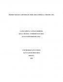 TRABAJO AUDITORIA DE MERCADEO, EMPRESA: TURISMO LTDA