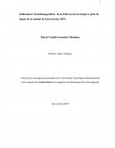 Indicadores Sociodemográficos de la Pobreza de las mujeres jefas de hogar de la ciudad de San Lorenzo 2019