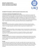 Descripción y análisis de puestos de personal de un bar