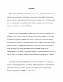 Discusion sobre el lenguaje