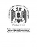 Control de organismos dañinos
