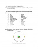 Cuestionario de Biología