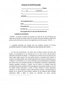 CEDULA DE NOTIFICACION