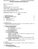 INFORME DE REVISION TéCNICA FORMAL
