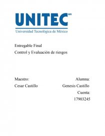 Control y Evaluación de riesgos. Página 1