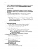 CARACTERISTICAS DEL SISTEMA DE PROPIEDAD INDUSTRIAL