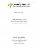 Actividad Analisis organizacional