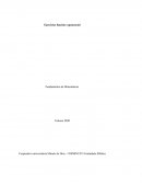 Ejercicios función exponencial. Fundamentos de Matemáticas