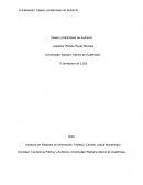 Clases y Estandares de Auditoria