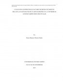 CUÁLES SON LOS PRINCIPALES FACTORES DE RIESGO DE DIABETES MELLITUS