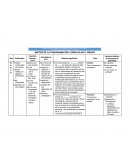 MATRIZ DE LA PROGRAMACIÓN CURRICULAR 5º GRADO