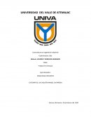 Valores y Derechos Humanos en México