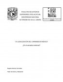 La legalización del cannabis en México